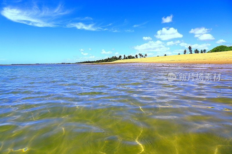 热带天堂:Praia do Forte明亮半透明的海滩，巴伊亚，巴西